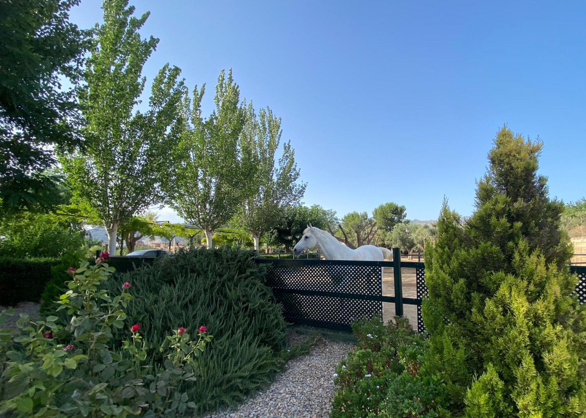 Villa Elisabeth - Granada — Photos 3