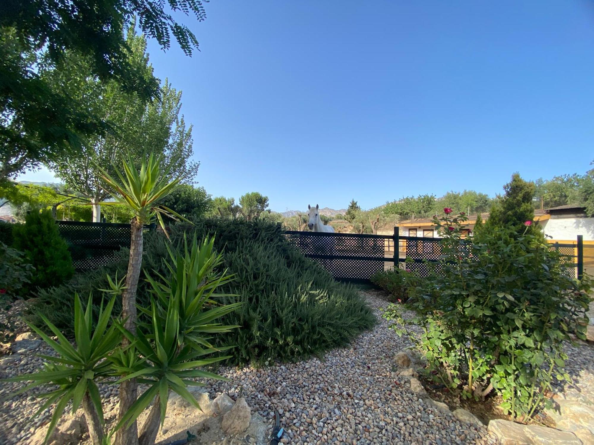 Villa Elisabeth - Granada — Photos 1
