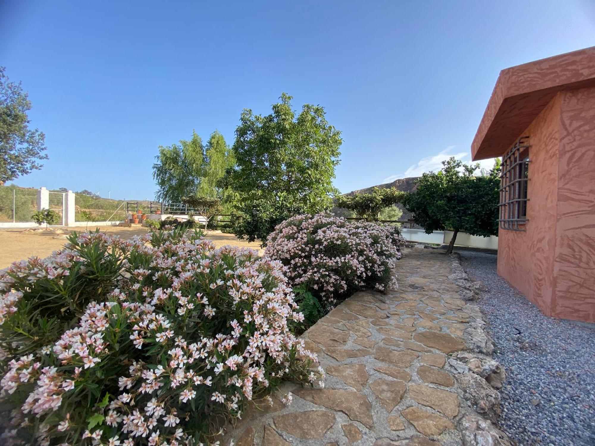 Villa Elisabeth - Granada — Photos 2